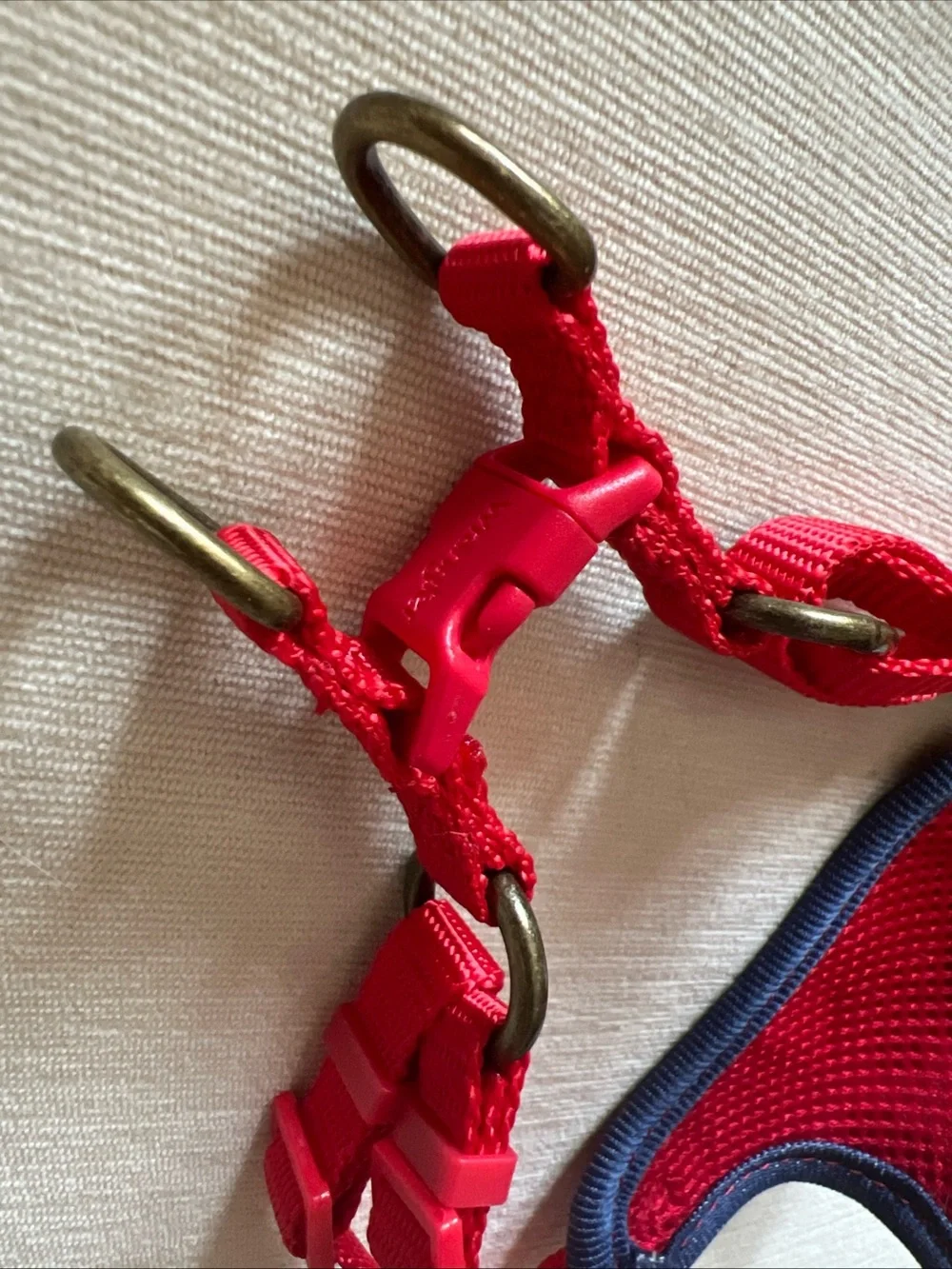 Wrangler Cow Print Dog Harness & Leash Set, Size XS
